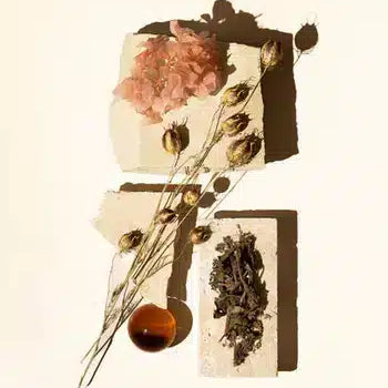 The Aroma of Earth: Exploring the Wonders of Patchouli