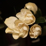 ARQUISTE Boutonnière no 7