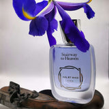 JUL ET MAD Paris Stairway to Heaven