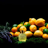 ARQUISTE L’Etrog Acqua