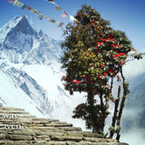 JUL ET MAD Paris Stairway to Heaven